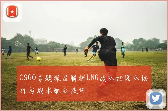 CSGO专题深度解析LNG战队的团队协作与战术配合技巧