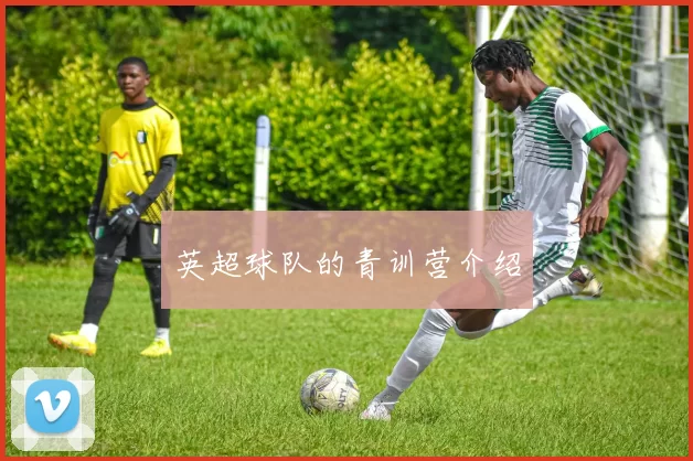 英超球队的青训营介绍