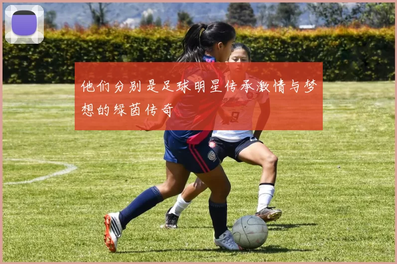 他们分别是足球明星传承激情与梦想的绿茵传奇