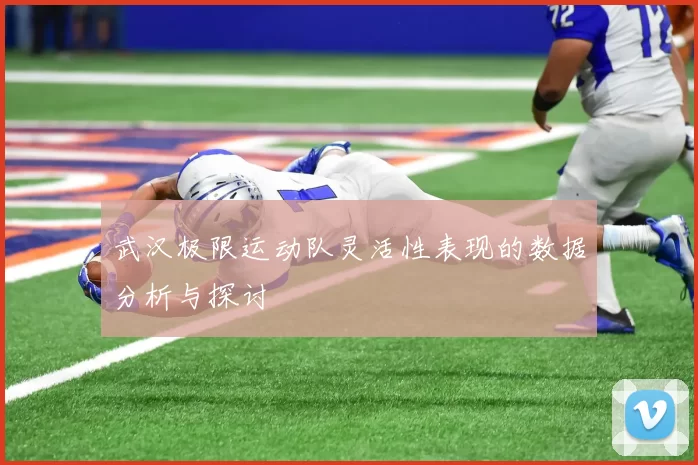 武汉极限运动队灵活性表现的数据分析与探讨