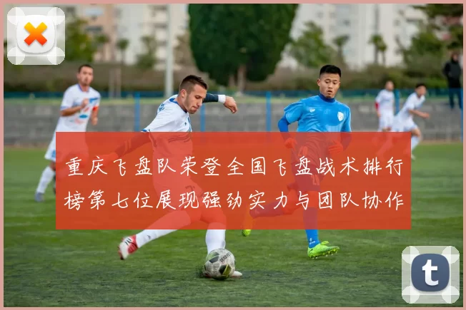 重庆飞盘队荣登全国飞盘战术排行榜第七位展现强劲实力与团队协作