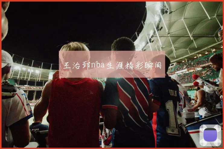 王治郅nba生涯精彩瞬间