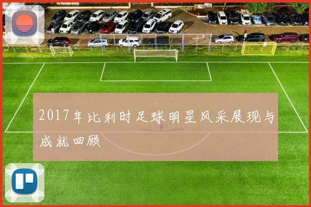 2017年比利时足球明星风采展现与成就回顾