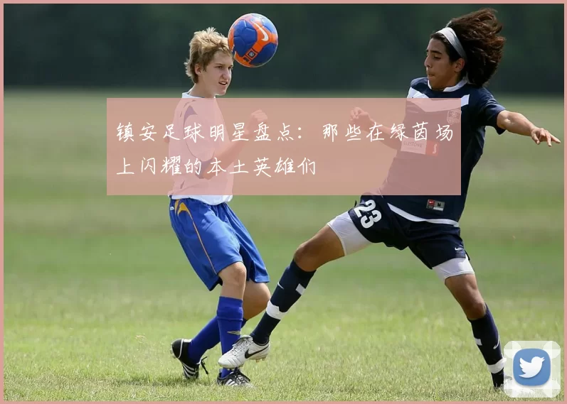 镇安足球明星盘点：那些在绿茵场上闪耀的本土英雄们