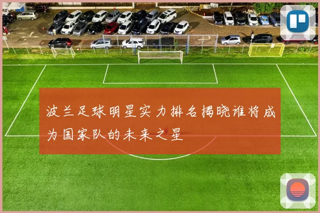 波兰足球明星实力排名揭晓谁将成为国家队的未来之星