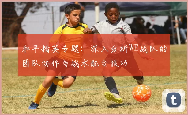 和平精英专题：深入分析WE战队的团队协作与战术配合技巧