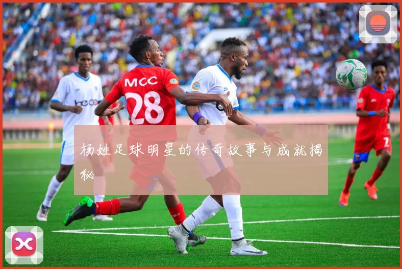 杨姓足球明星的传奇故事与成就揭秘