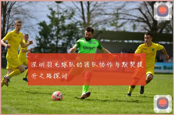 深圳羽毛球队的团队协作与默契提升之路探讨