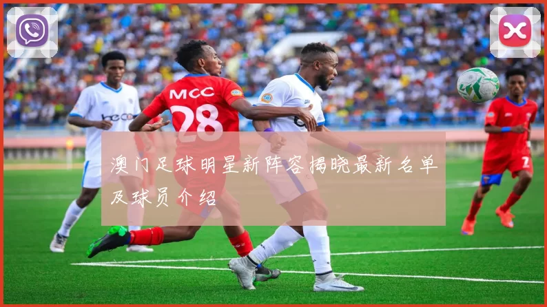 澳门足球明星新阵容揭晓最新名单及球员介绍